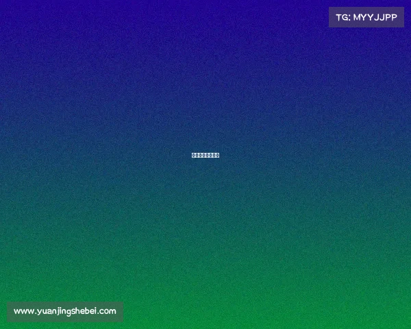 赛事活动流程安排